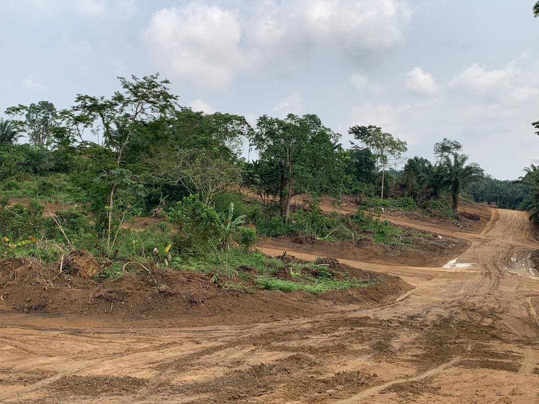 terrain de Bomono Ba Bengue